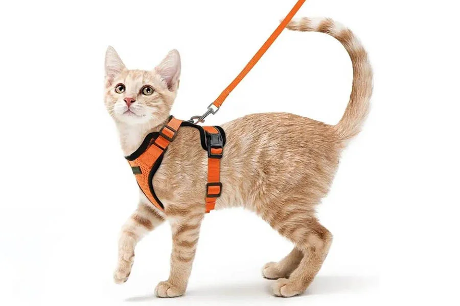 Reflective Soft Mesh Cat Harness for Kittens