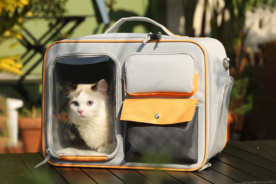 Comfortable Pet Backpack for Hiking Trips