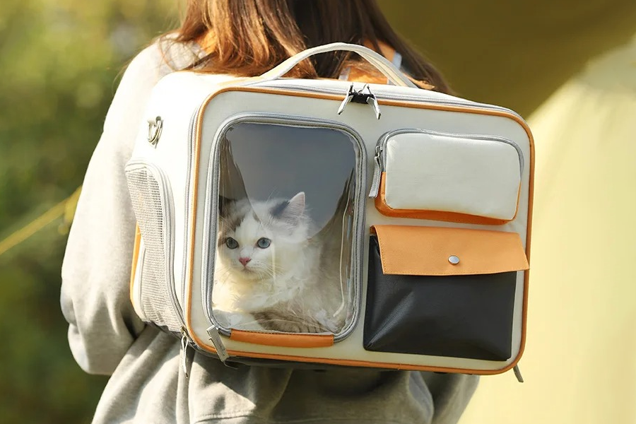 Comfortable Pet Backpack for Hiking Trips