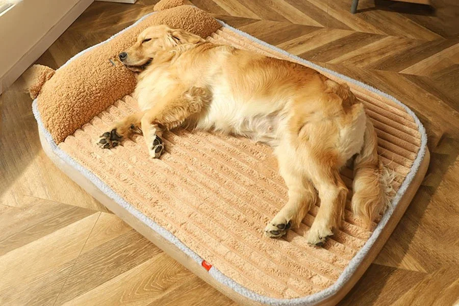 Best Warm Pet Mats for Cold Weather