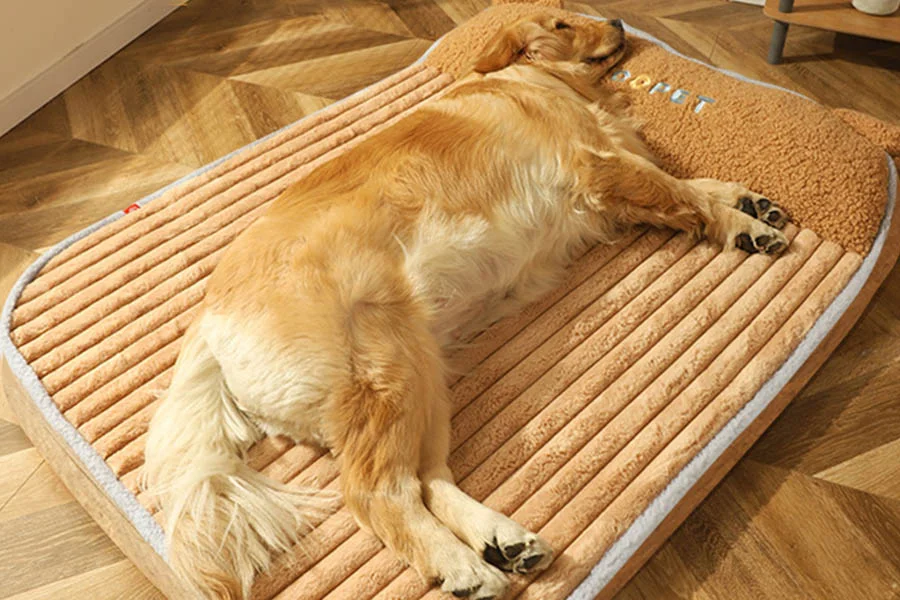 Comfortable Winter Mats for Pets