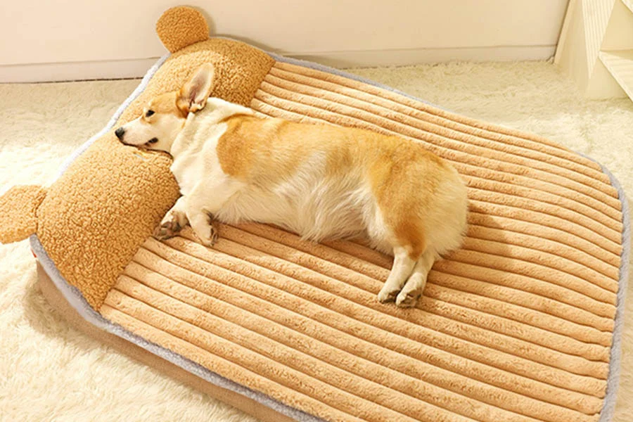 Best Warm Pet Mats for Cold Weather