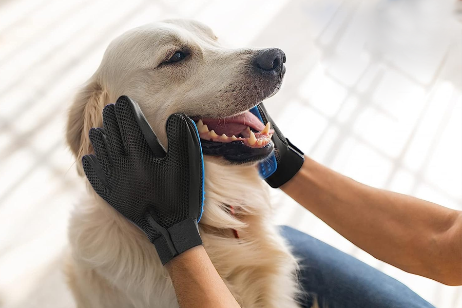 Gentle Grooming Glove for Dogs